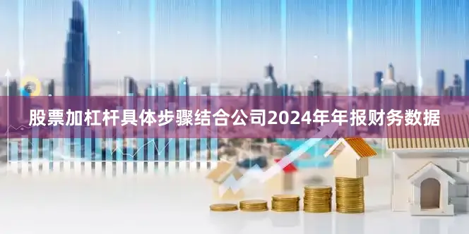股票加杠杆具体步骤结合公司2024年年报财务数据